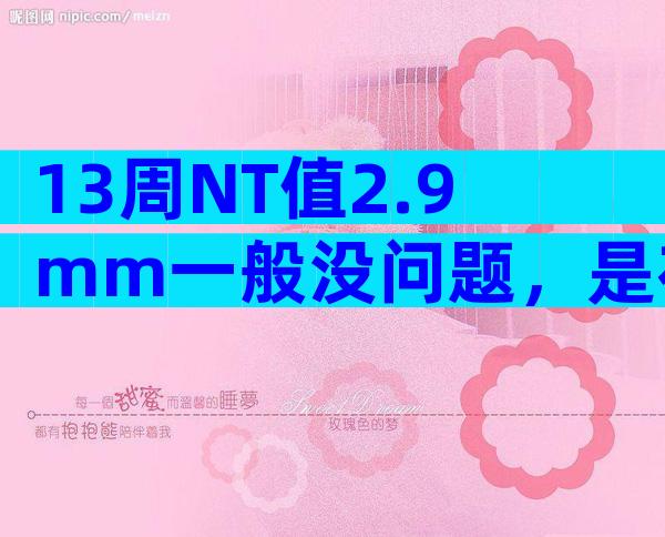 13周NT值2.9mm一般没问题，是在正常范围内！