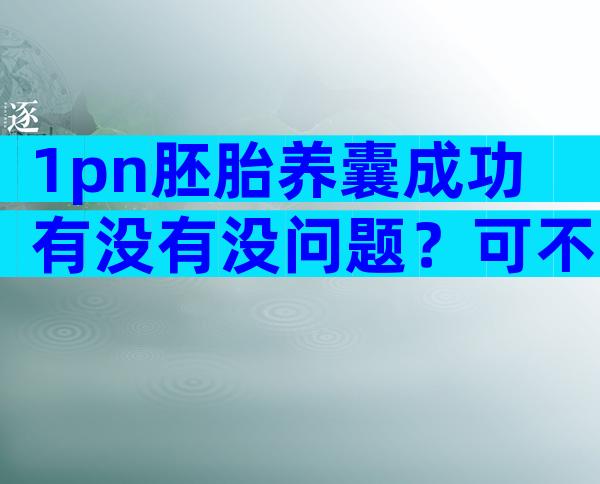 1pn胚胎养囊成功有没有没问题？可不可以一文读懂就清楚