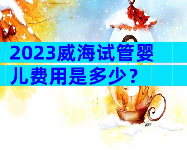 2023威海试管婴儿费用是多少？