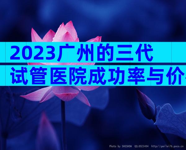 2023广州的三代试管医院成功率与价格大公开