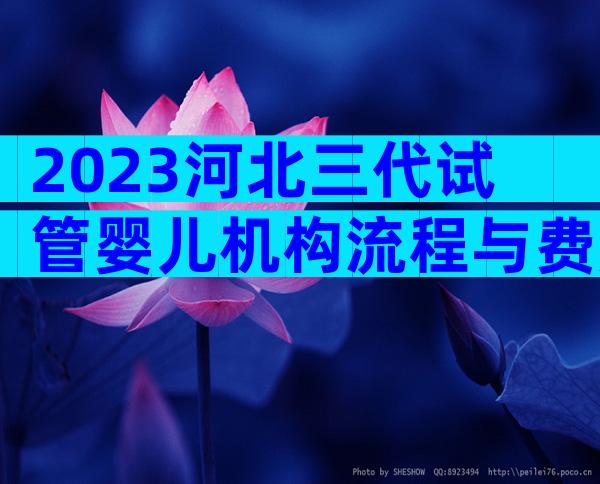 2023河北三代试管婴儿机构流程与费用大公开