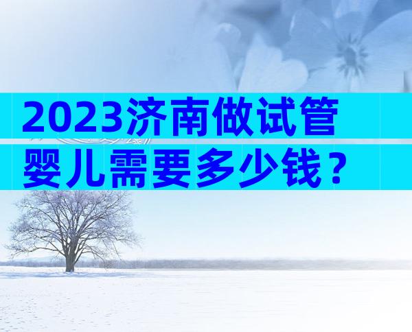 2023济南做试管婴儿需要多少钱？