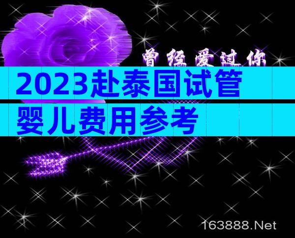 2023赴泰国试管婴儿费用参考