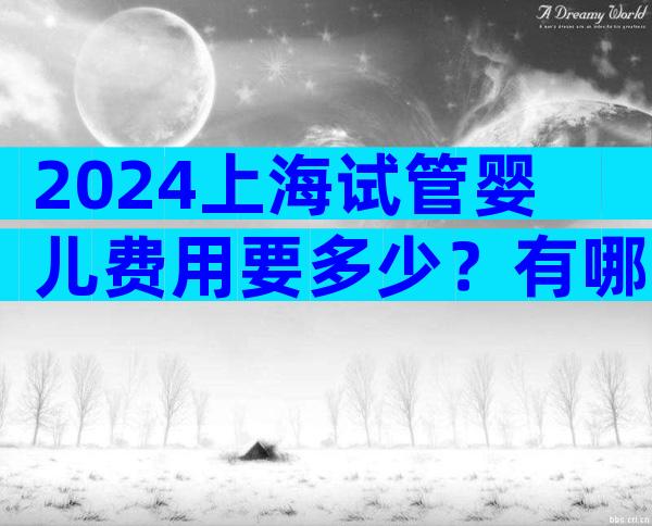 2024上海试管婴儿费用要多少？有哪些收费的项目？