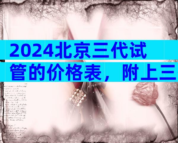 2024北京三代试管的价格表，附上三代费用清单？