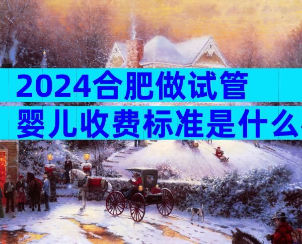 2024合肥做试管婴儿收费标准是什么样的？