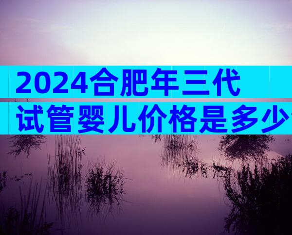 2024合肥年三代试管婴儿价格是多少钱？涉及哪些因素？