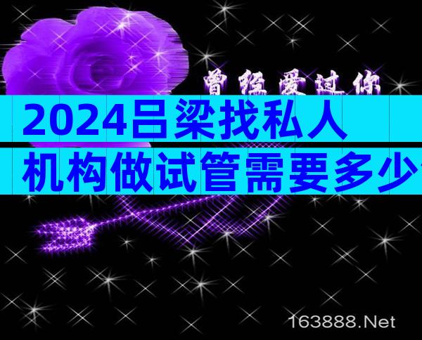 2024吕梁找私人机构做试管需要多少钱？具体费用详细介绍