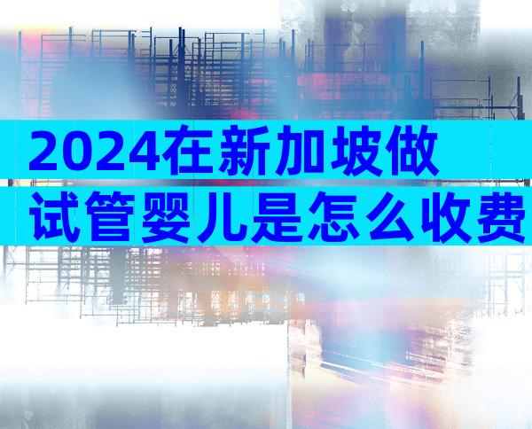 2024在新加坡做试管婴儿是怎么收费的？