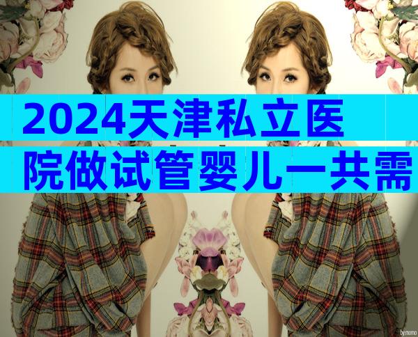 2024天津私立医院做试管婴儿一共需要花费多少费用？