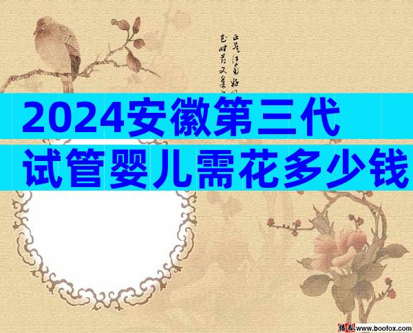 2024安徽第三代试管婴儿需花多少钱？