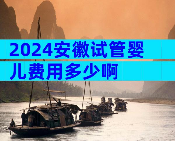 2024安徽试管婴儿费用多少啊