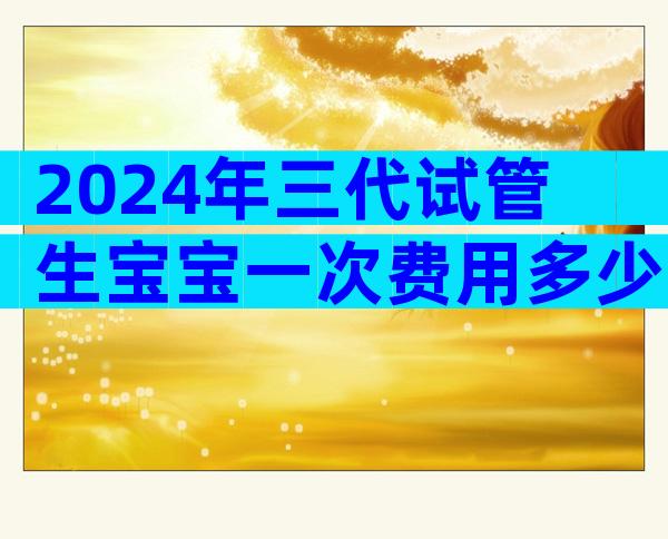 2024年三代试管生宝宝一次费用多少