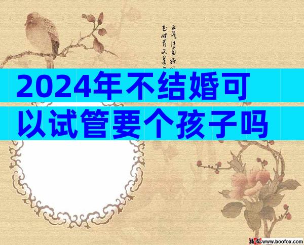 2024年不结婚可以试管要个孩子吗