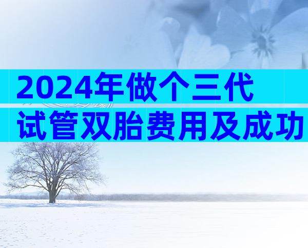 2024年做个三代试管双胎费用及成功率！