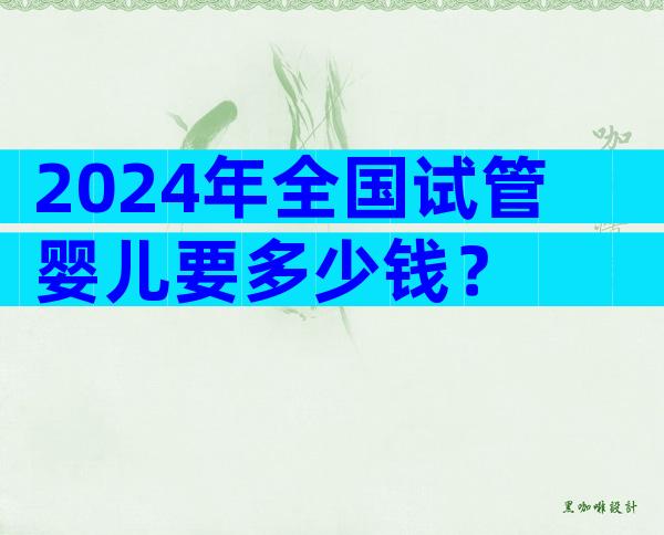 2024年全国试管婴儿要多少钱？