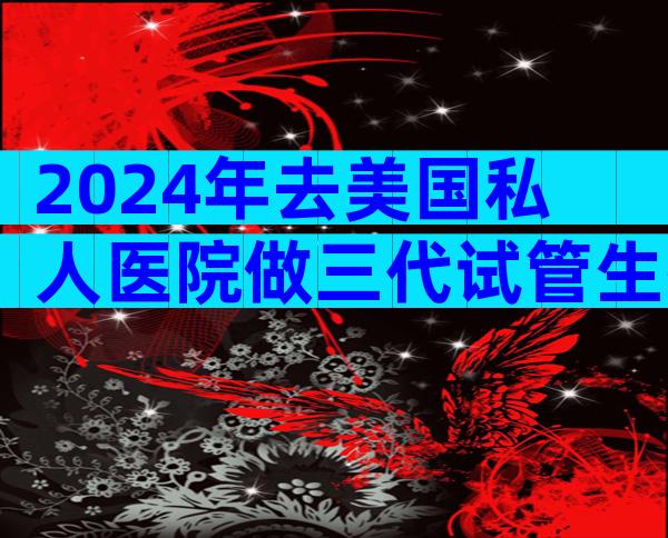 2024年去美国私人医院做三代试管生孩子需要准备多少钱？