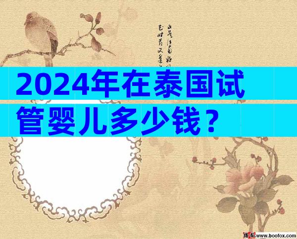 2024年在泰国试管婴儿多少钱？