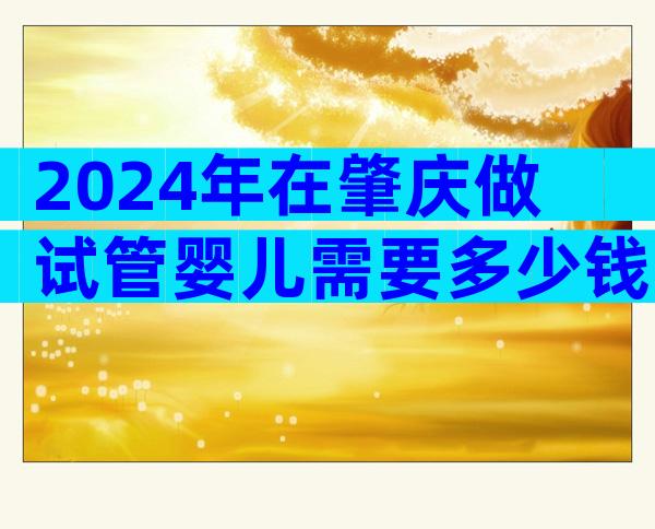 2024年在肇庆做试管婴儿需要多少钱？