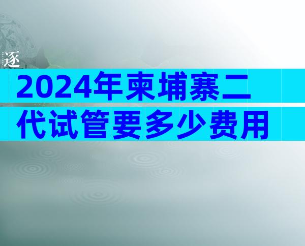 2024年柬埔寨二代试管要多少费用