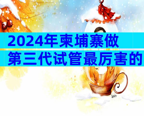 2024年柬埔寨做第三代试管最厉害的医院已公布，主要取决于情况