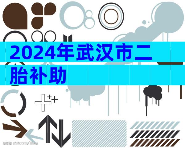 2024年武汉市二胎补助