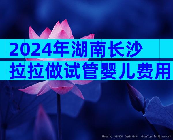 2024年湖南长沙拉拉做试管婴儿费用预估