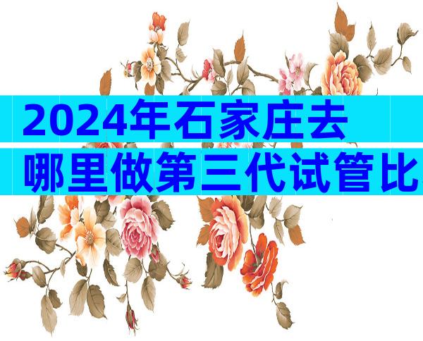 2024年石家庄去哪里做第三代试管比较好的民营机构？