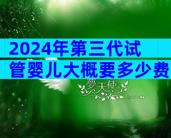 2024年第三代试管婴儿大概要多少费用