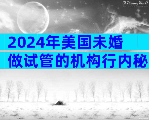 2024年美国未婚做试管的机构行内秘密