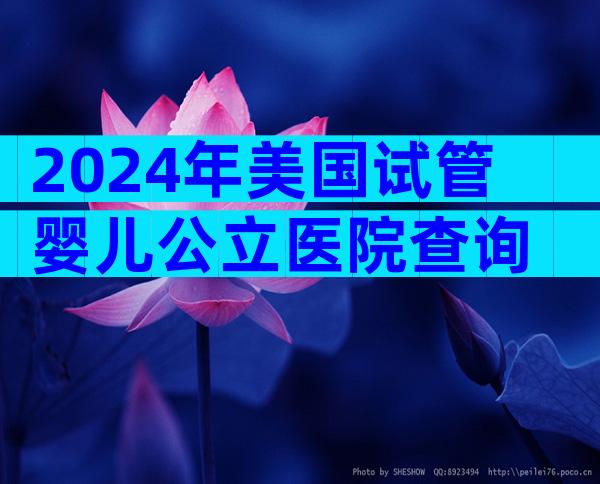 2024年美国试管婴儿公立医院查询