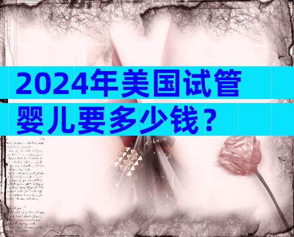 2024年美国试管婴儿要多少钱？