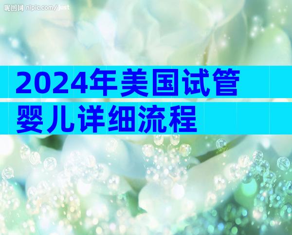 2024年美国试管婴儿详细流程