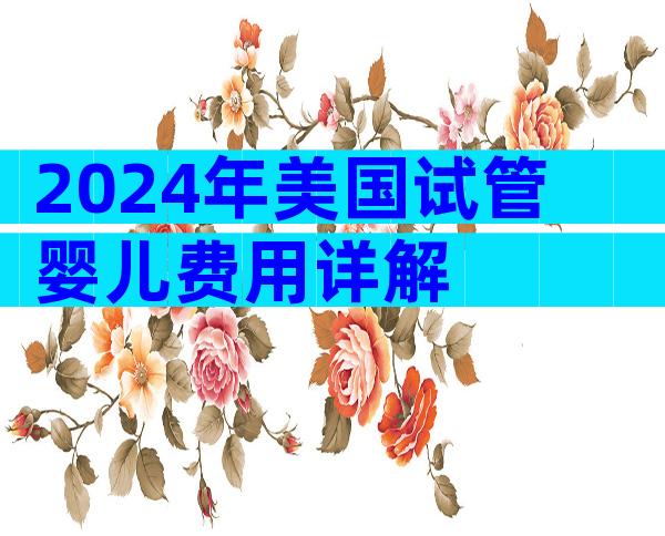 2024年美国试管婴儿费用详解