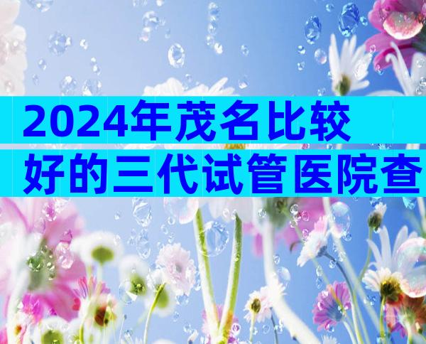 2024年茂名比较好的三代试管医院查询