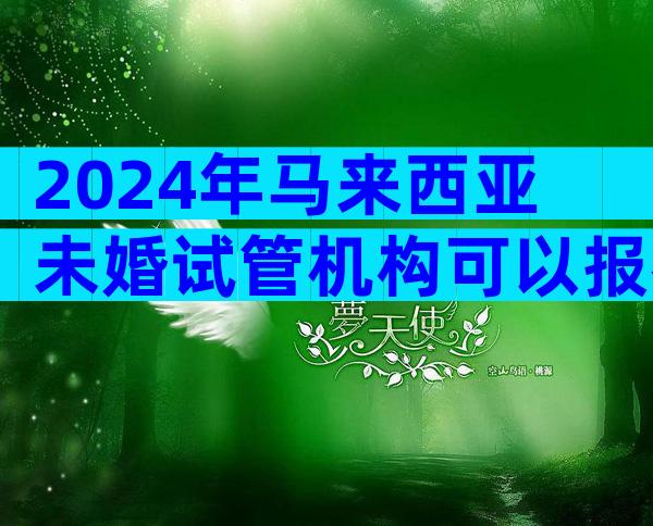 2024年马来西亚未婚试管机构可以报名吗？