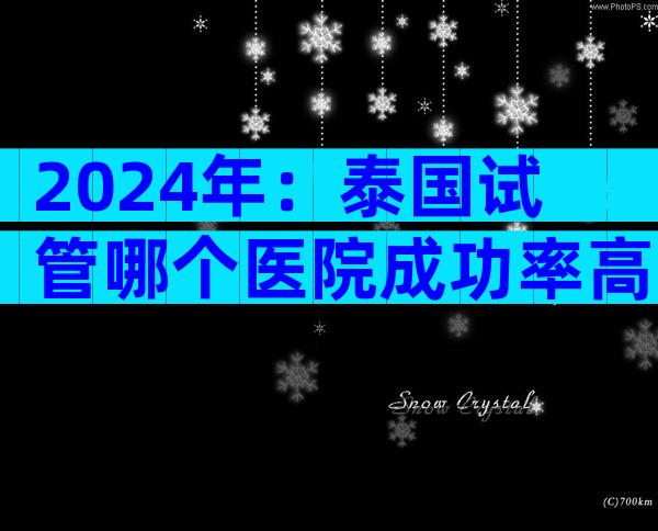 2024年：泰国试管哪个医院成功率高？