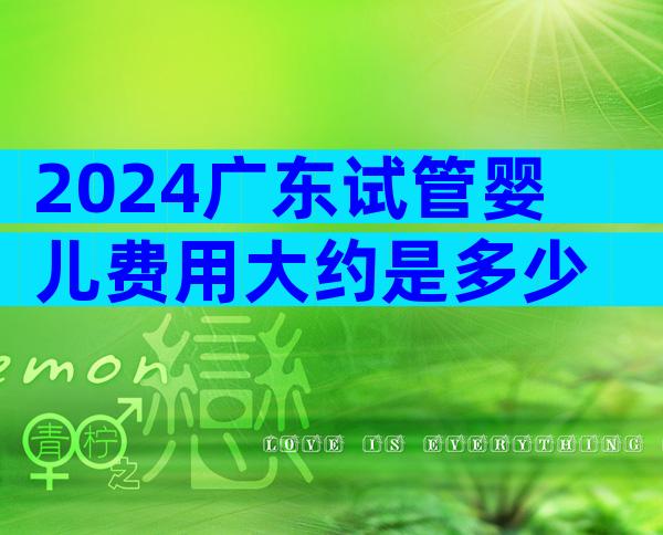 2024广东试管婴儿费用大约是多少