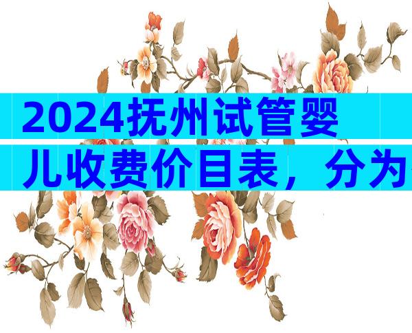 2024抚州试管婴儿收费价目表，分为有哪些阶段？