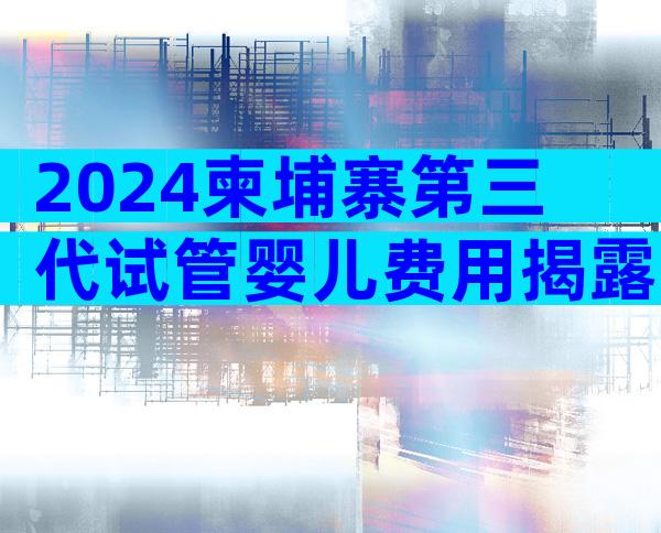 2024柬埔寨第三代试管婴儿费用揭露，做试管的小萌新赶紧看过来