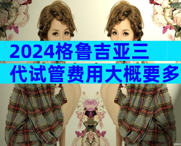 2024格鲁吉亚三代试管费用大概要多少钱？