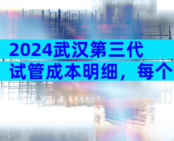 2024武汉第三代试管成本明细，每个周期15万够吗？