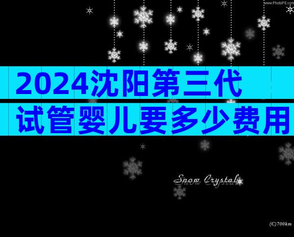 2024沈阳第三代试管婴儿要多少费用？费用3万美元左右！