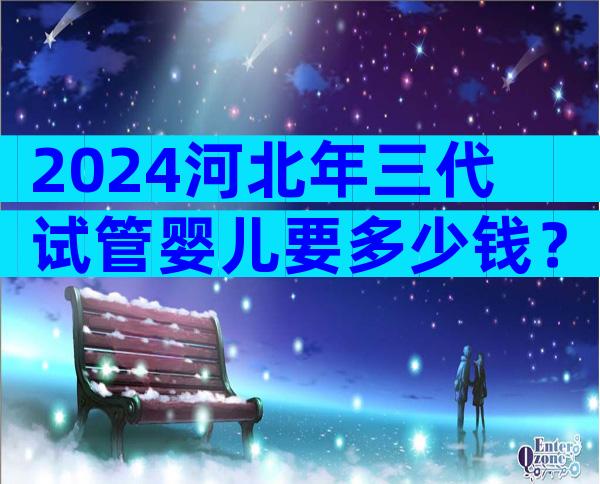 2024河北年三代试管婴儿要多少钱？