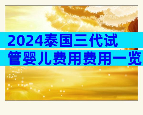 2024泰国三代试管婴儿费用费用一览