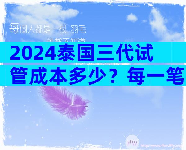 2024泰国三代试管成本多少？每一笔费用都清清楚楚