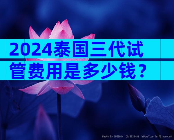 2024泰国三代试管费用是多少钱？