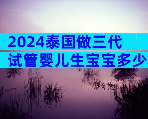 2024泰国做三代试管婴儿生宝宝多少钱介绍-明细有哪些