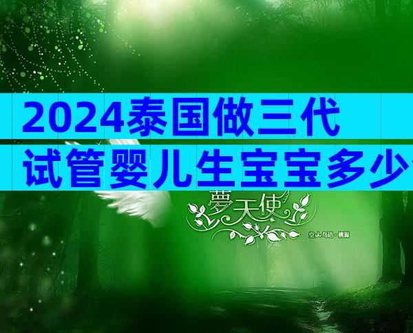 2024泰国做三代试管婴儿生宝宝多少钱附带省钱攻略