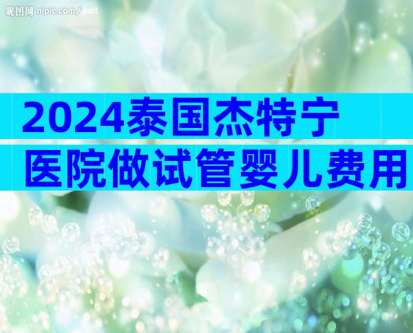 2024泰国杰特宁医院做试管婴儿费用明细一览！